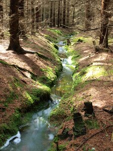 Water nature reflection photo