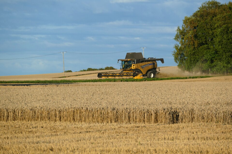 Thresh agriculture cereals