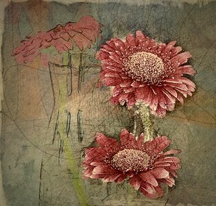 Drawing art still life
