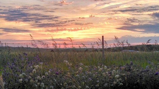 Prairie sunset