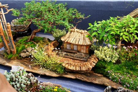 Flower gardens hanok plants