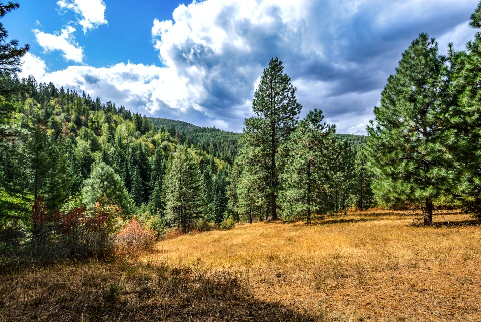 Country rural outdoor