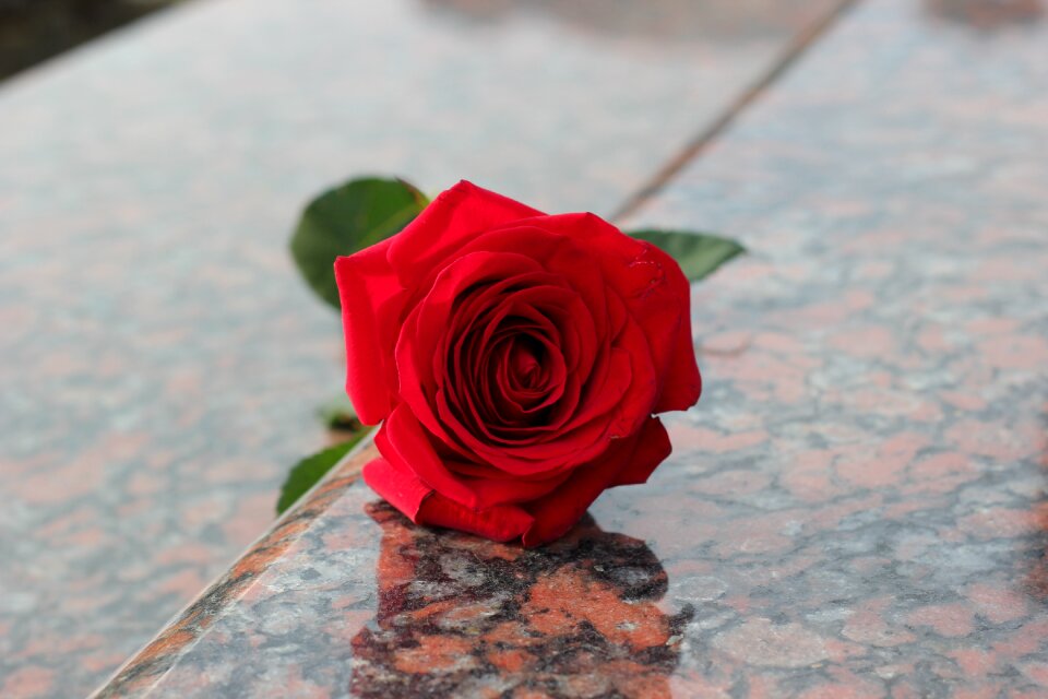 Love missing remembering