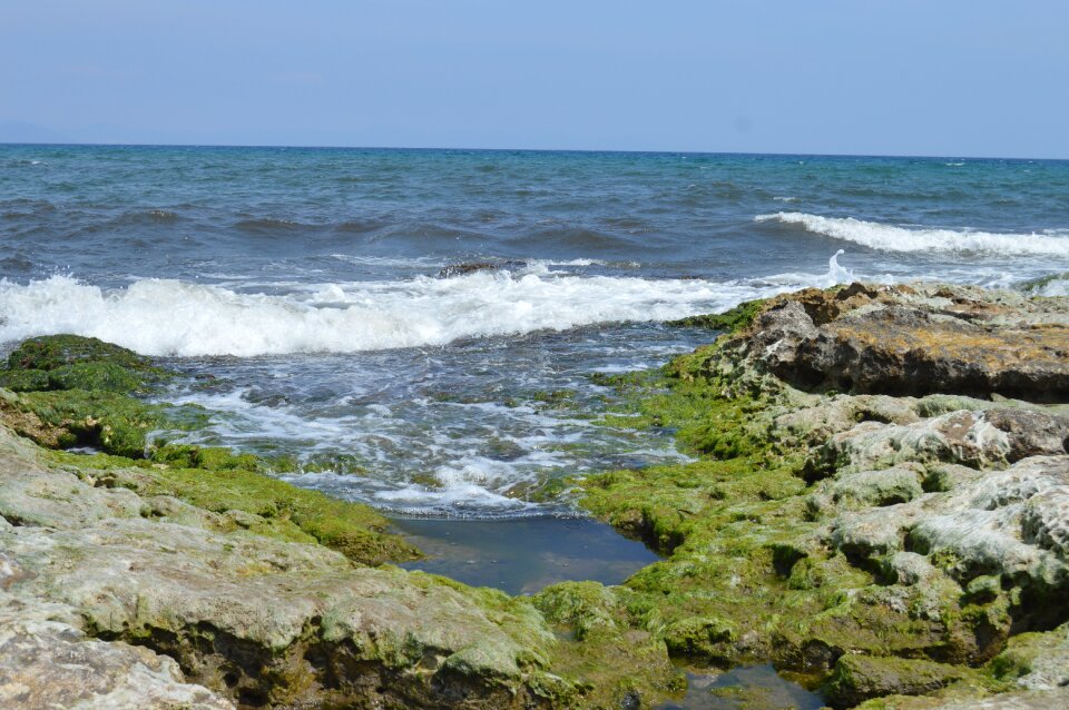 Green blue foam