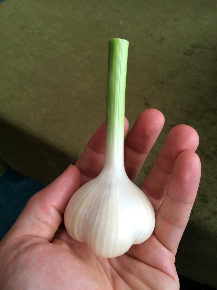 Organic whole vegetable