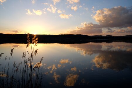 Olbersderfersee zittau upper lusatia photo