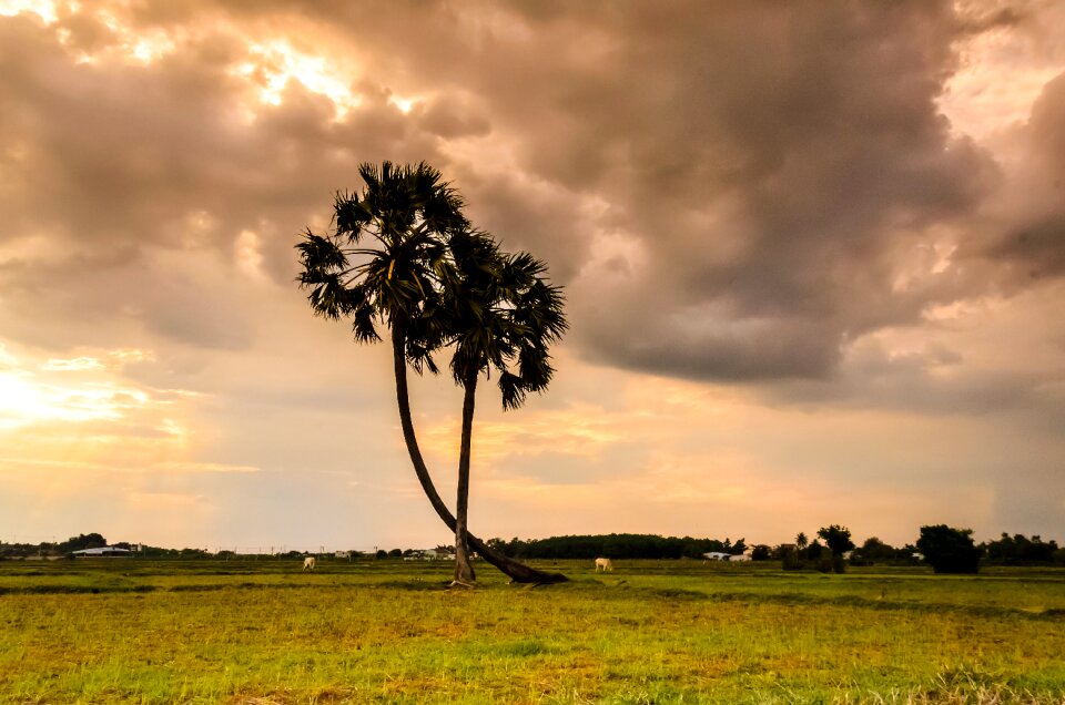 Natural scenery neck