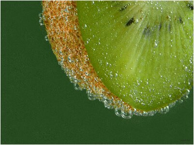 Macro kiwi green