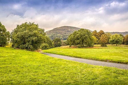 Field grass horizon