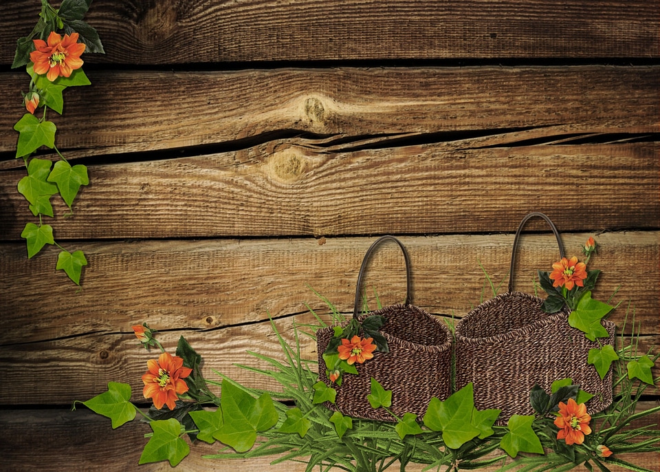 Leaves autumn decoration