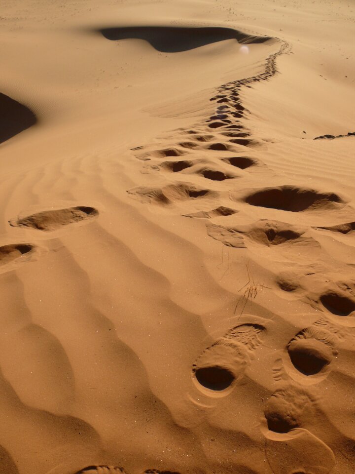 Algeria desert traces