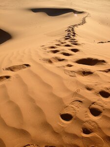 Algeria desert traces