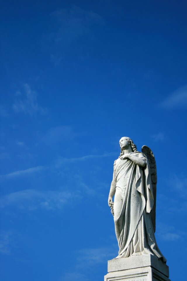Blue blue angel