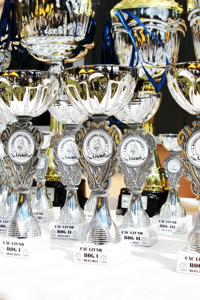 Award exhibition cup