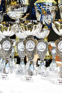 Award exhibition cup