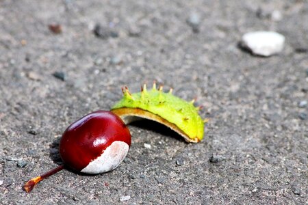 Season seeds