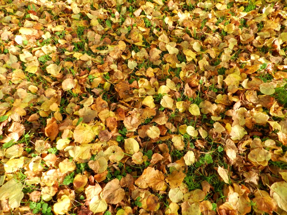 Colored soil nature