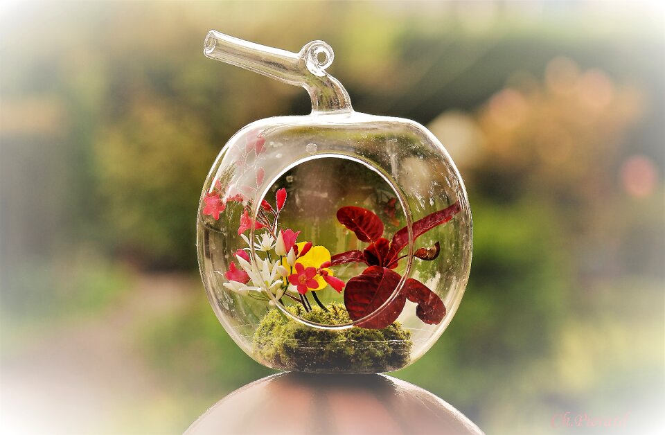 Flower the month of may montage floral