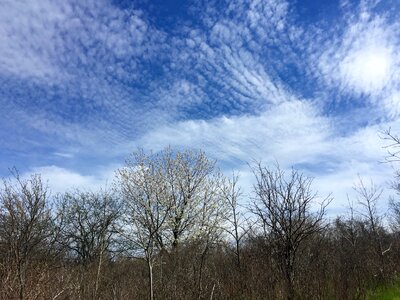 Stratus blue white