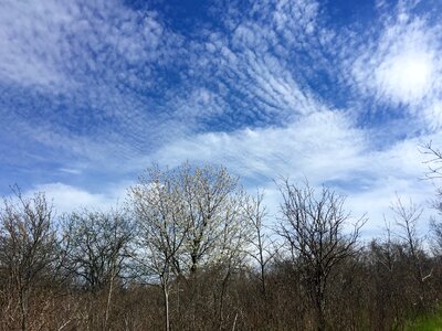 Stratus blue white photo