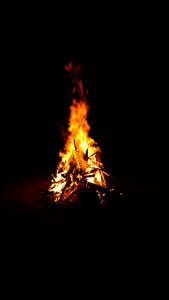 Night black wood