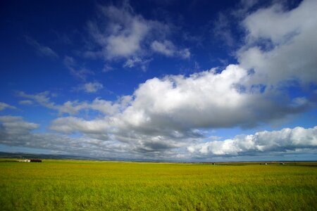 Qinghai qinghai lake the scenery photo