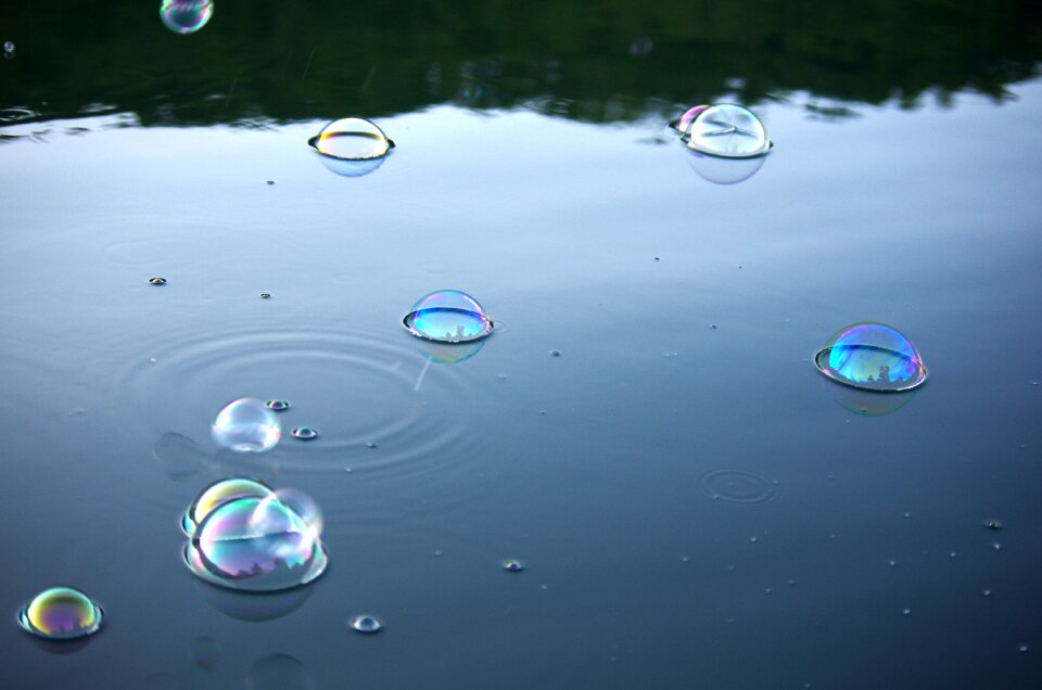 Mother of pearl floats shoal