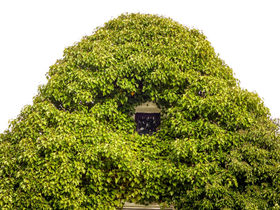 Proliferates old facade