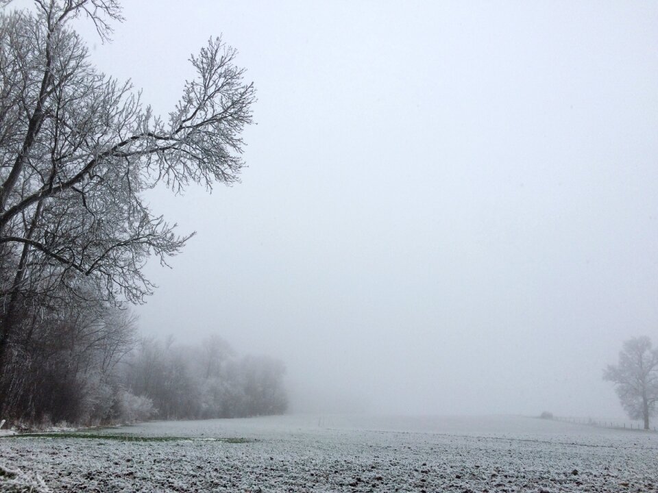 Snow winter landscape trees frosted
