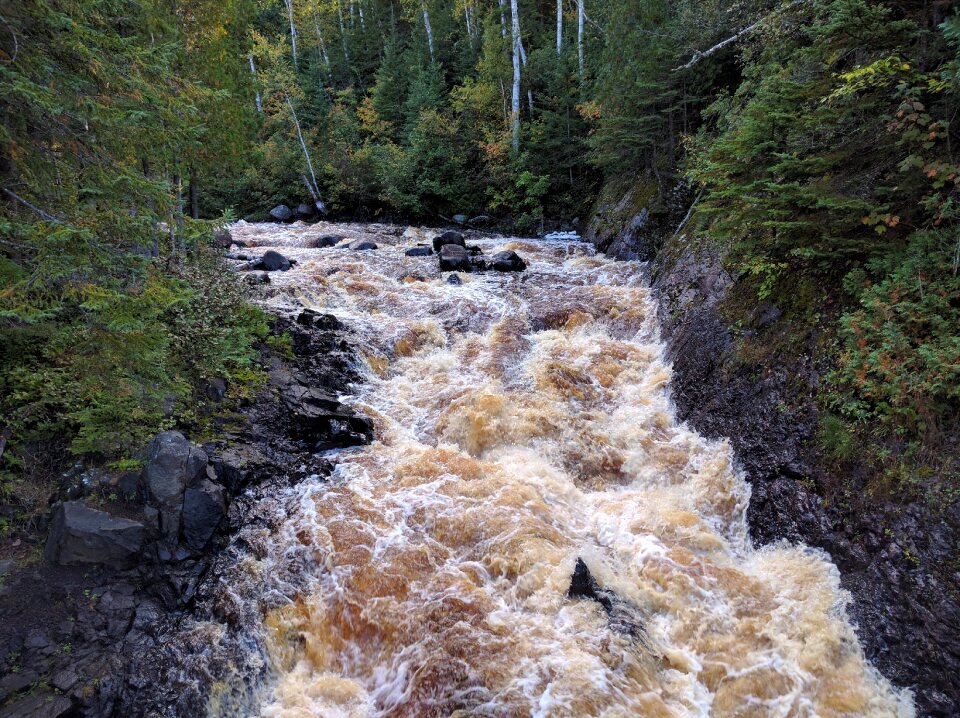 Stream scenery natural