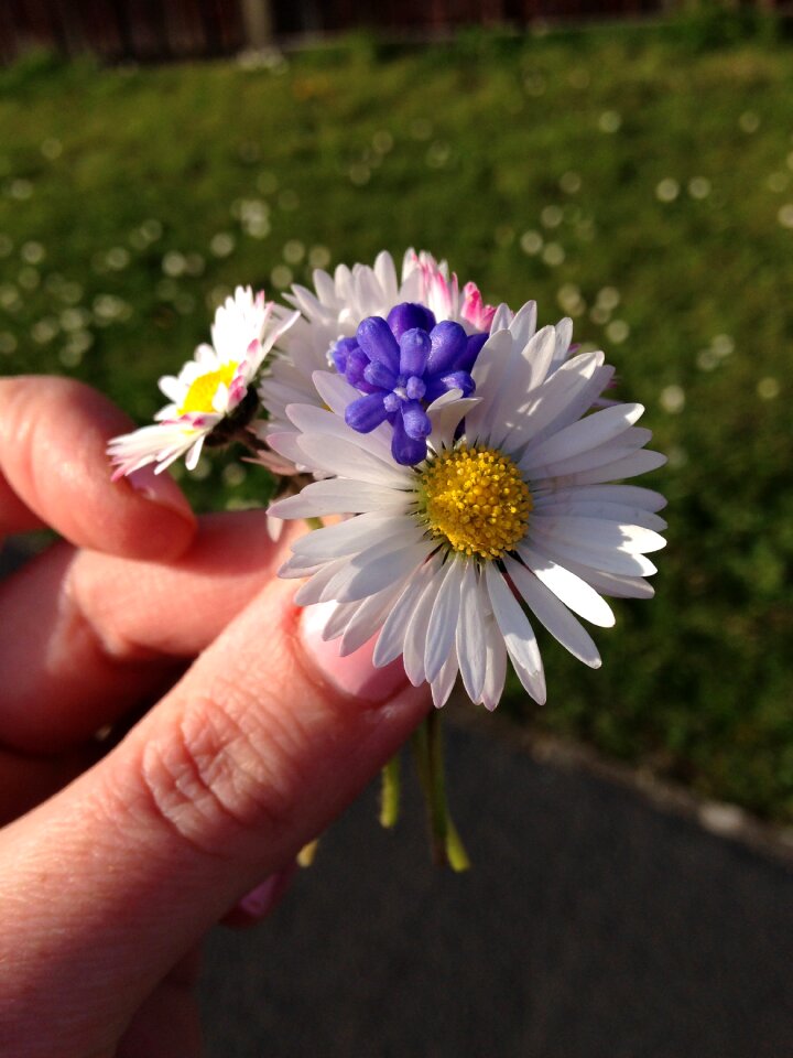 Pretty bouquet