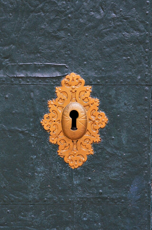 Door gate surface