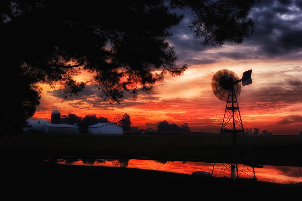 Silhouettes pond water