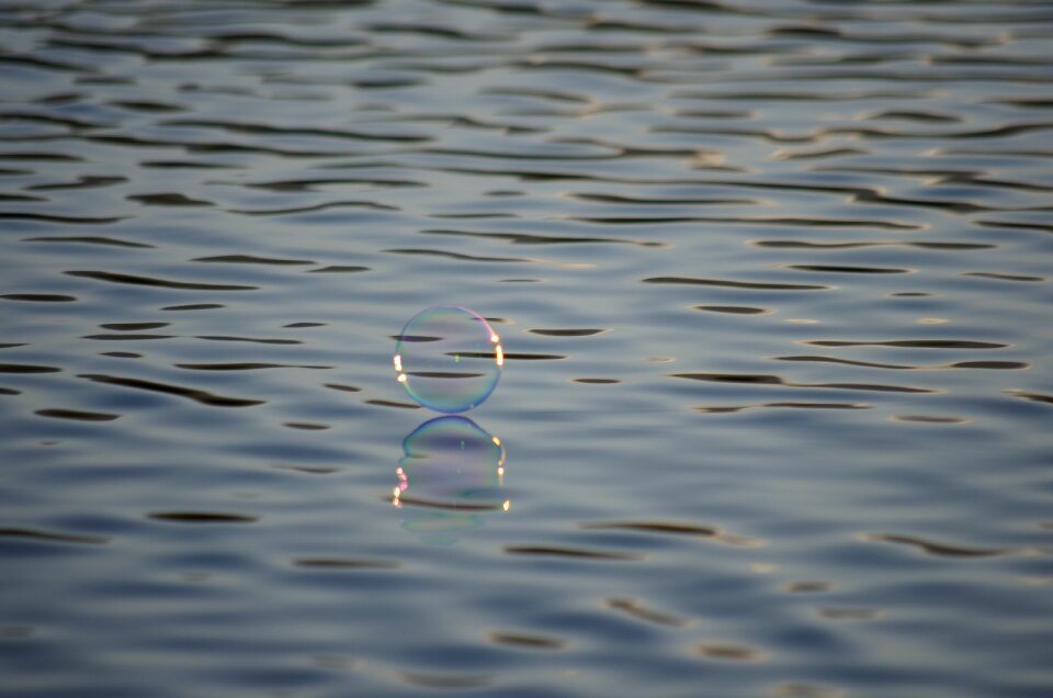 Mother of pearl floats shoal