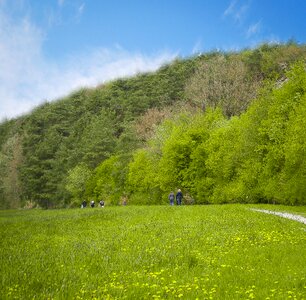 May landscape stroller