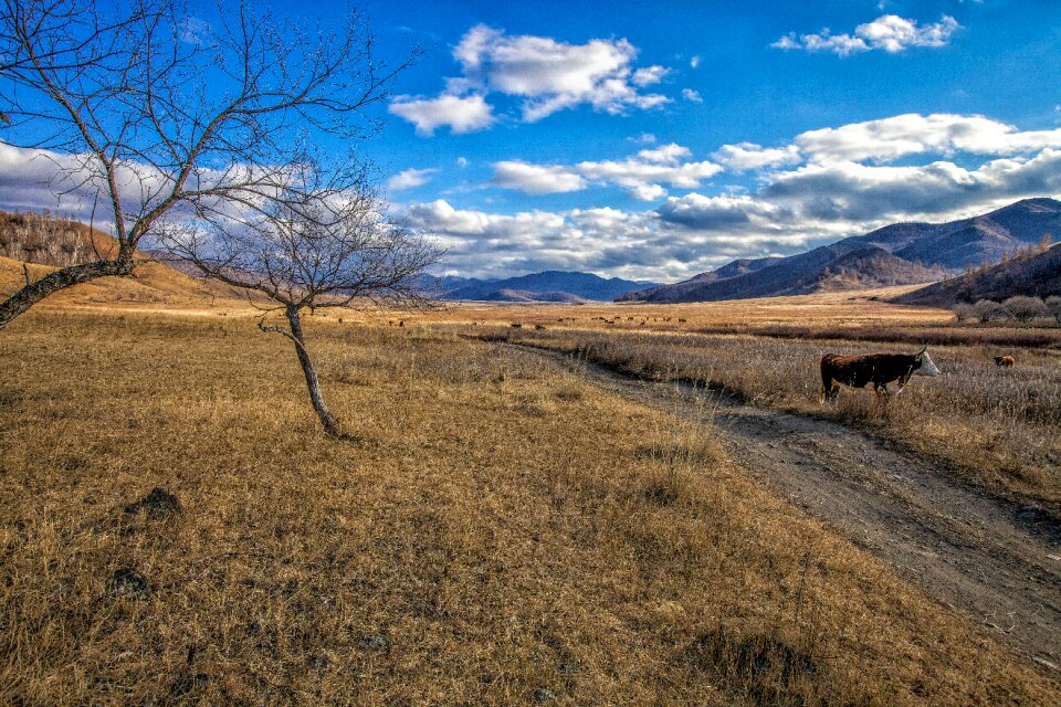 Grazing lane bogart village