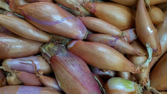Onions vegetable garden market