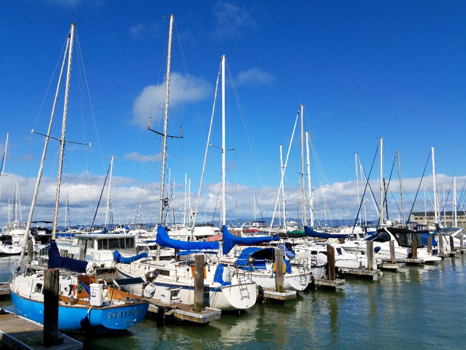 Sailboat harbor pier photo