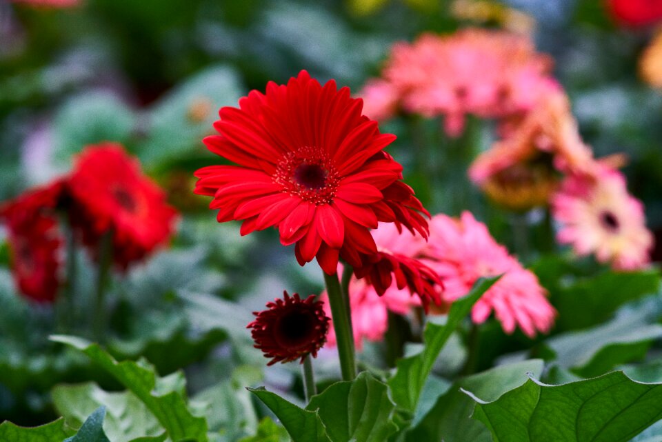 Nature beautiful background
