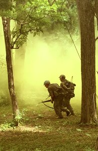 Usa military army