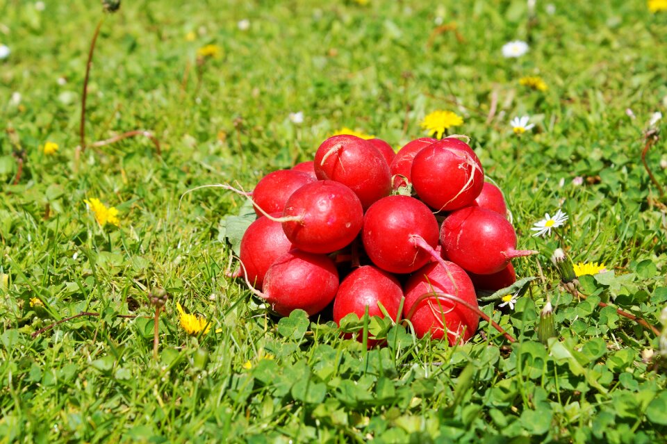 Food healthy vitamins