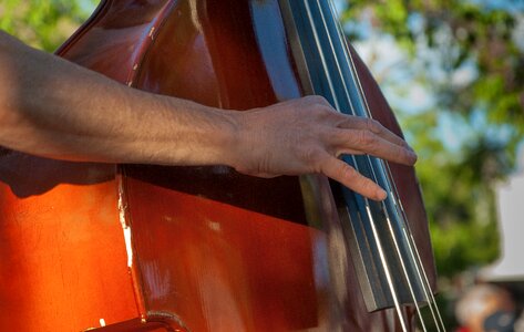 Double bass instrument music photo