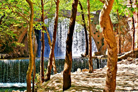 Waterfall forest trees
