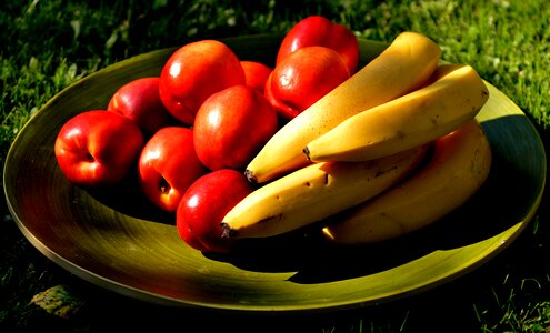 Vegetarian delicious healthy