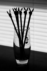 Drinks bar ware bartender
