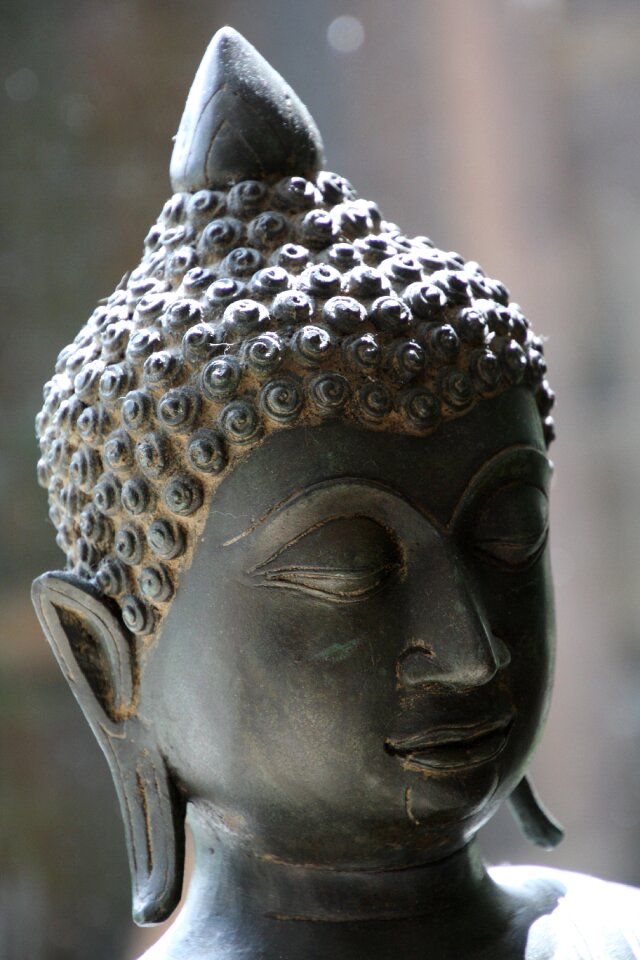 Buddhism rest zen