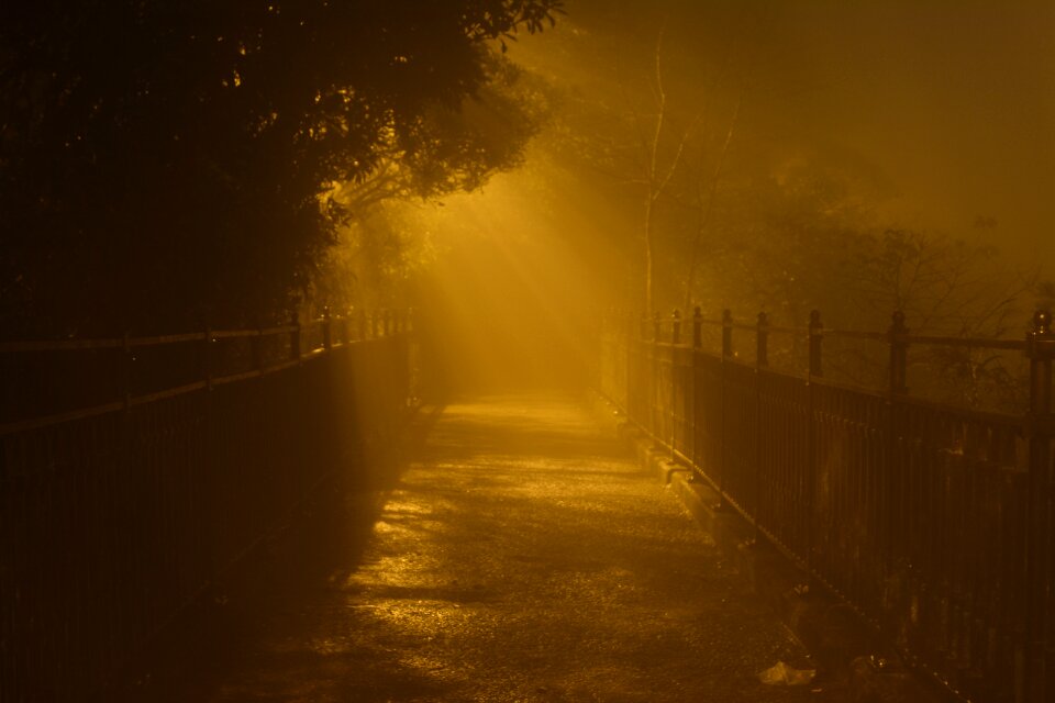 Foggy victoria peak