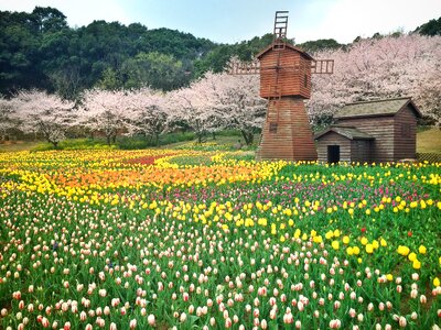 The scenery on the hill spring