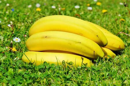 Food yellow healthy