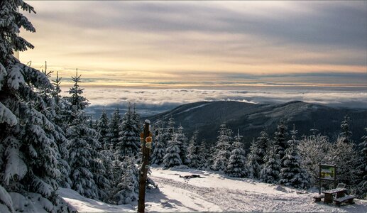 Winter sunset landscape